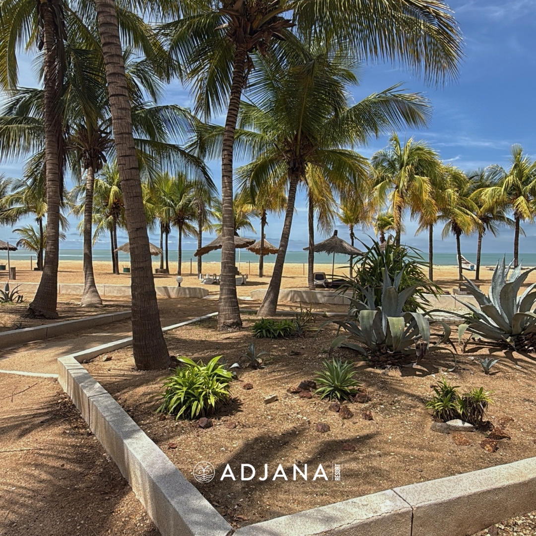 plage v 34 Location saisonnière SALY SÉNÉGAL